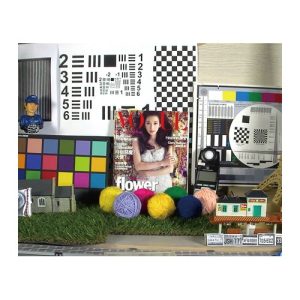 FD8181 VIVOTEK ネットワークカメラ